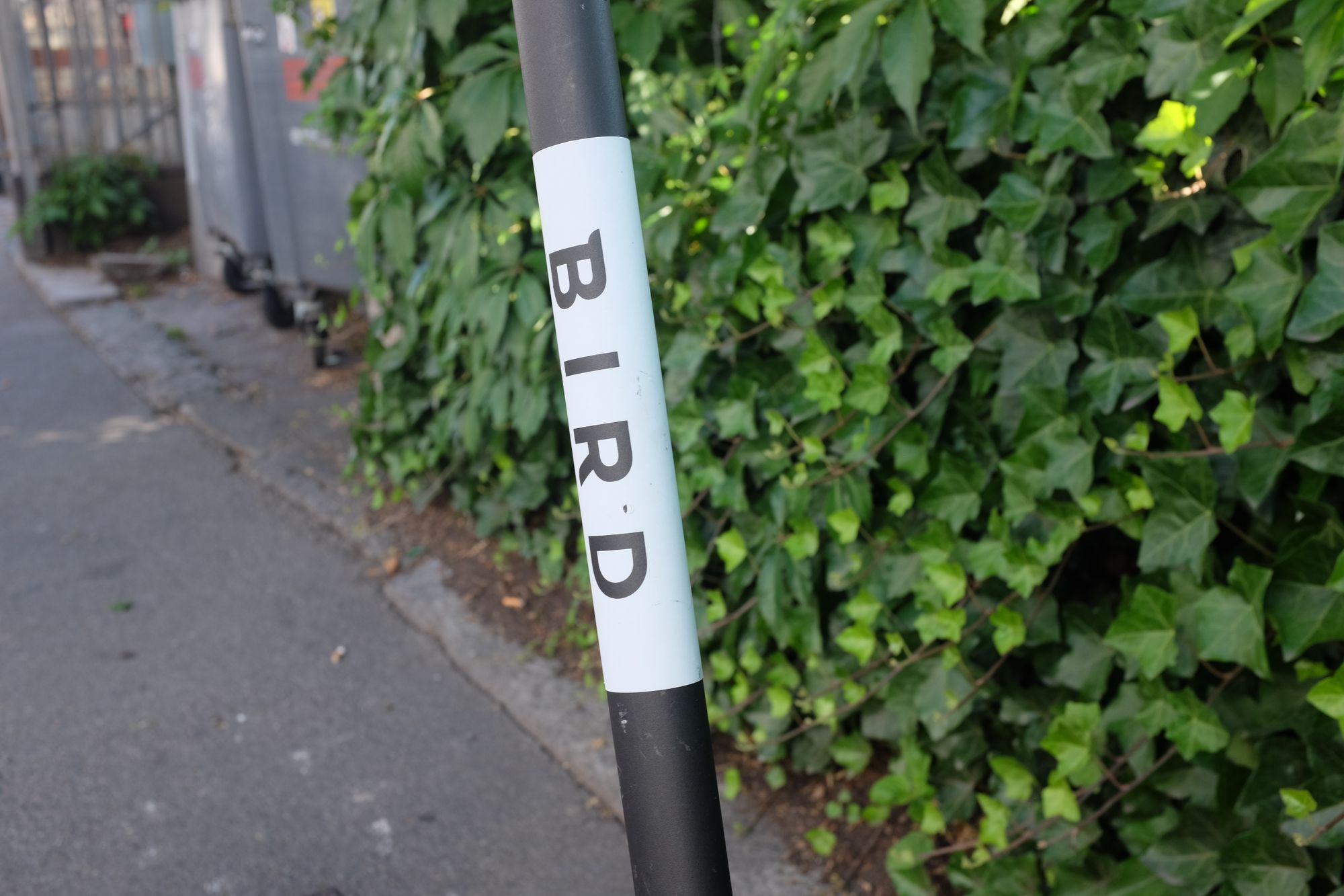Bird-Trotti setzen auf das McDonalds Geschäftsmodell