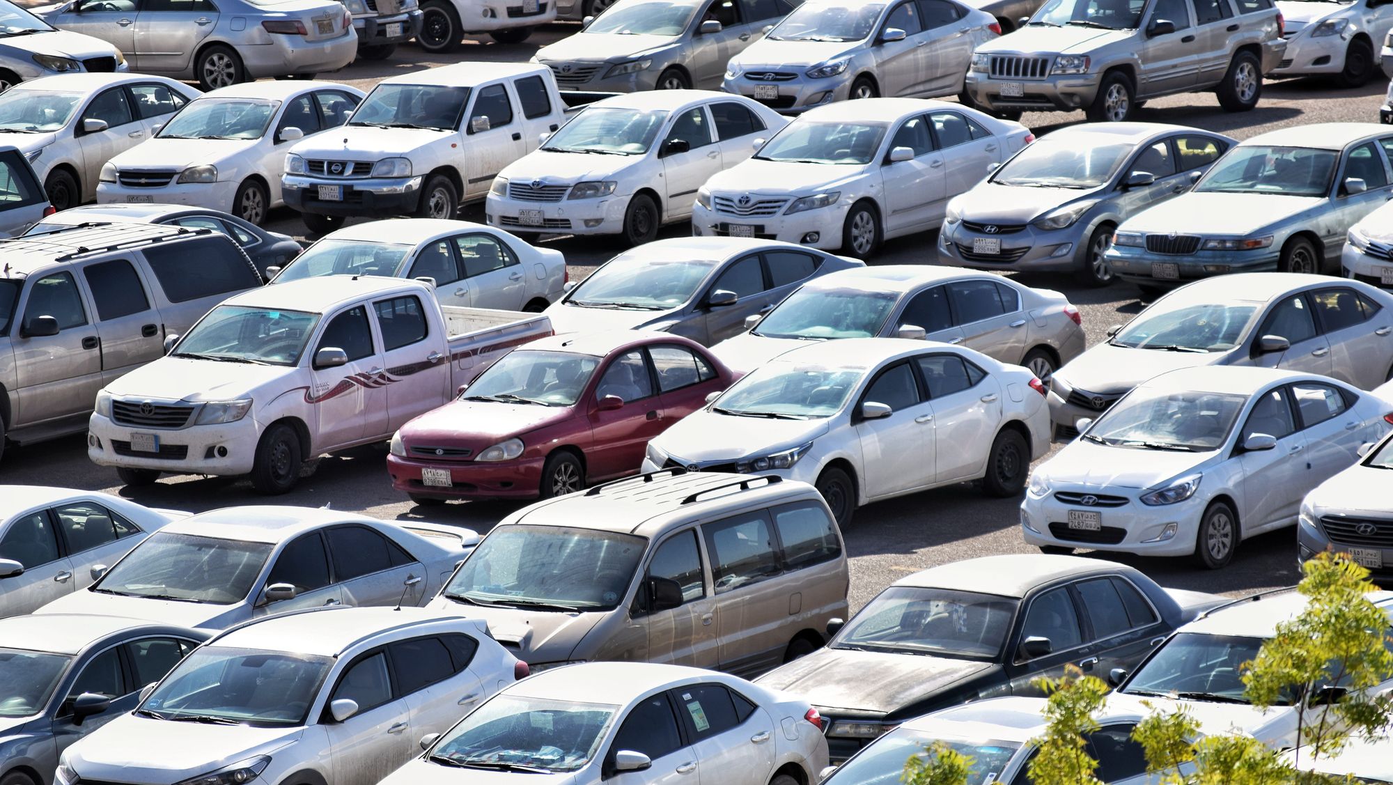 Was passiert, wenn der Bus gratis ist? Nicht viel.