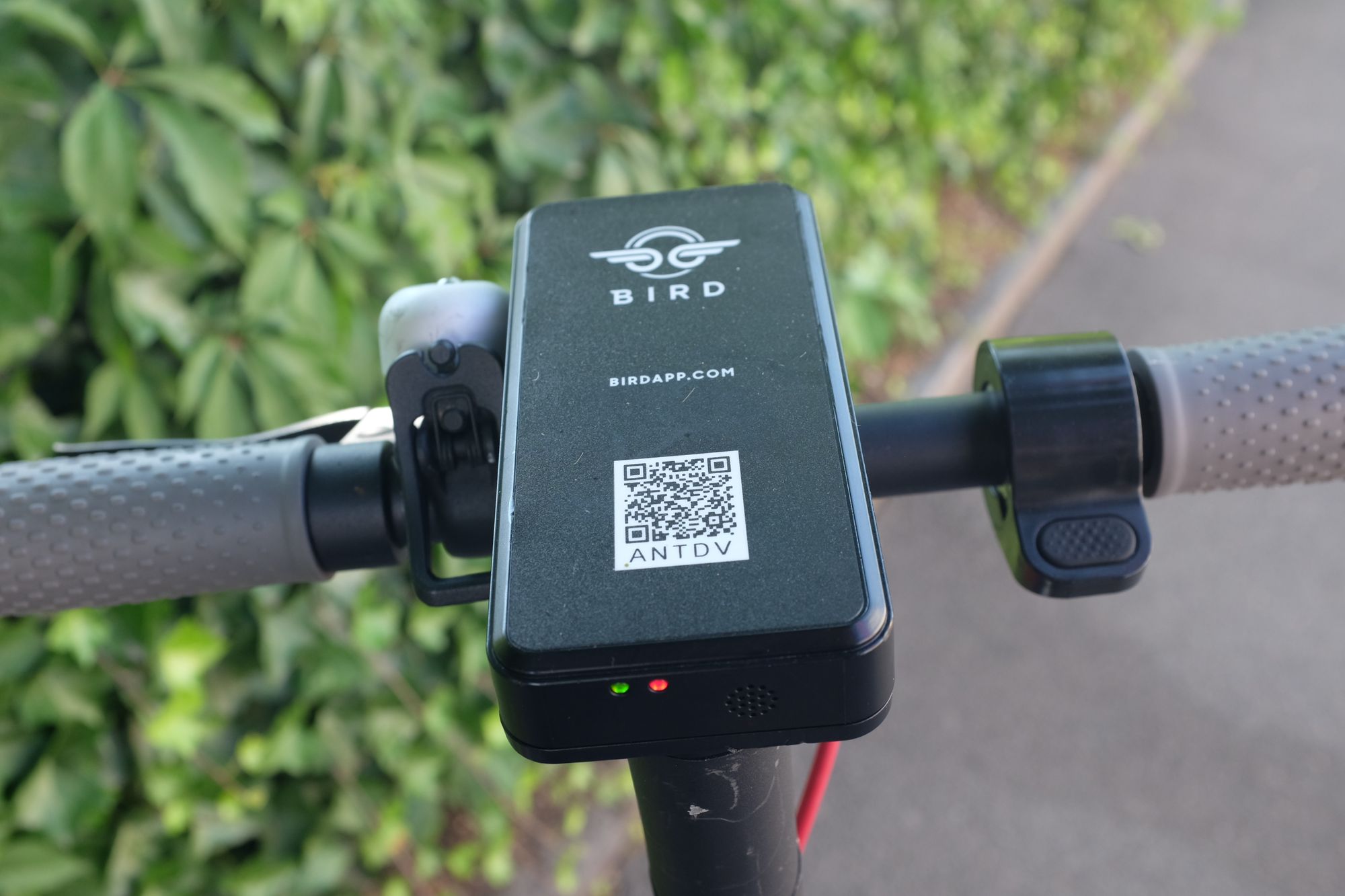 Die Konsolidierung beginnt - Bird kauft Circ