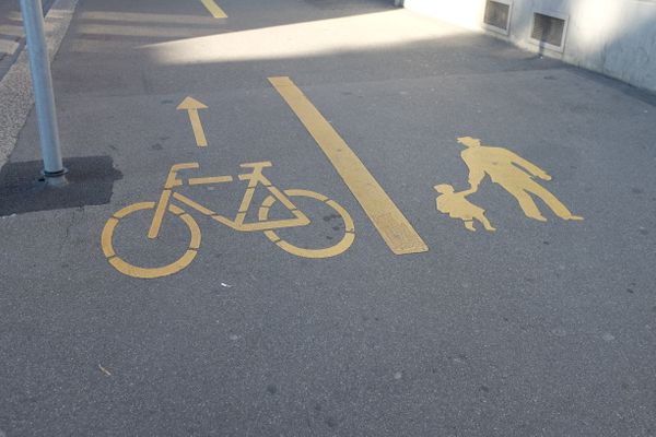 Wieviel kostet welches Verkehrsmittel die Gesellschaft unter dem Strich?