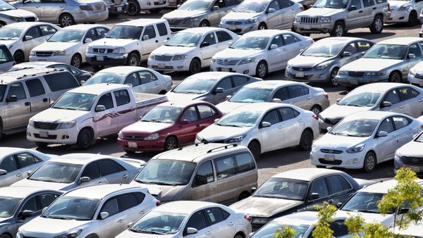 Was passiert, wenn der Bus gratis ist? Nicht viel.